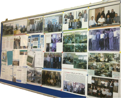 صورة لبعض هيئة التدريس في المعهد